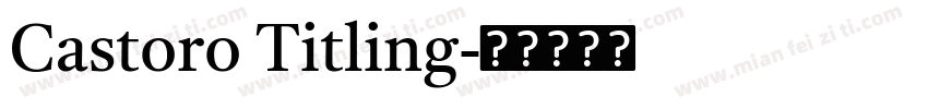 Castoro Titling字体转换